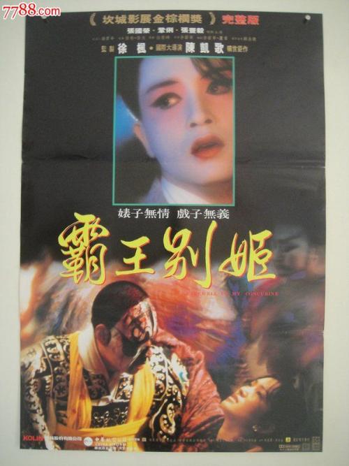 布莱顿大学会计文凭证书